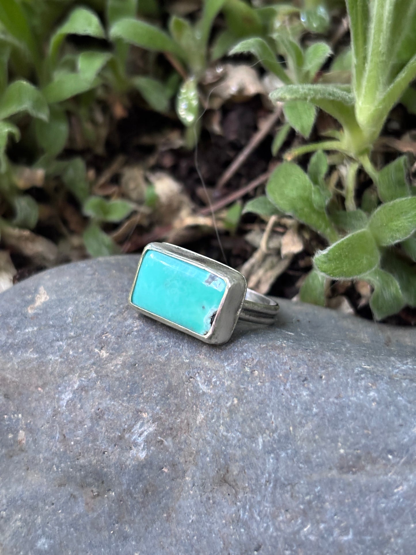 Campitos Turquoise Ring - Size 7.5