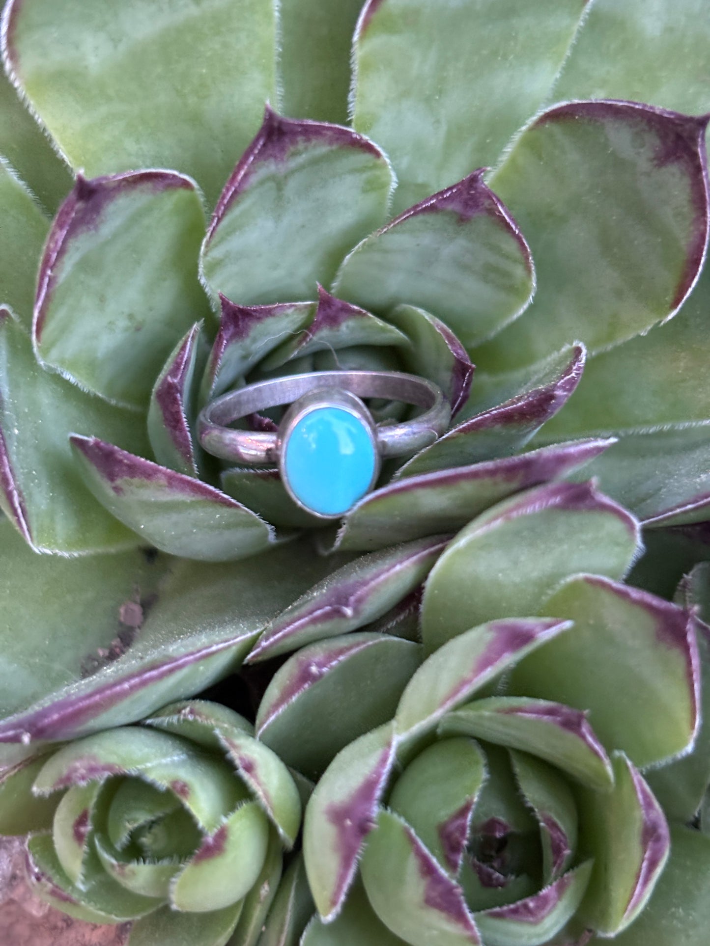 The Tiny Turquoise Ring - Size 7.5