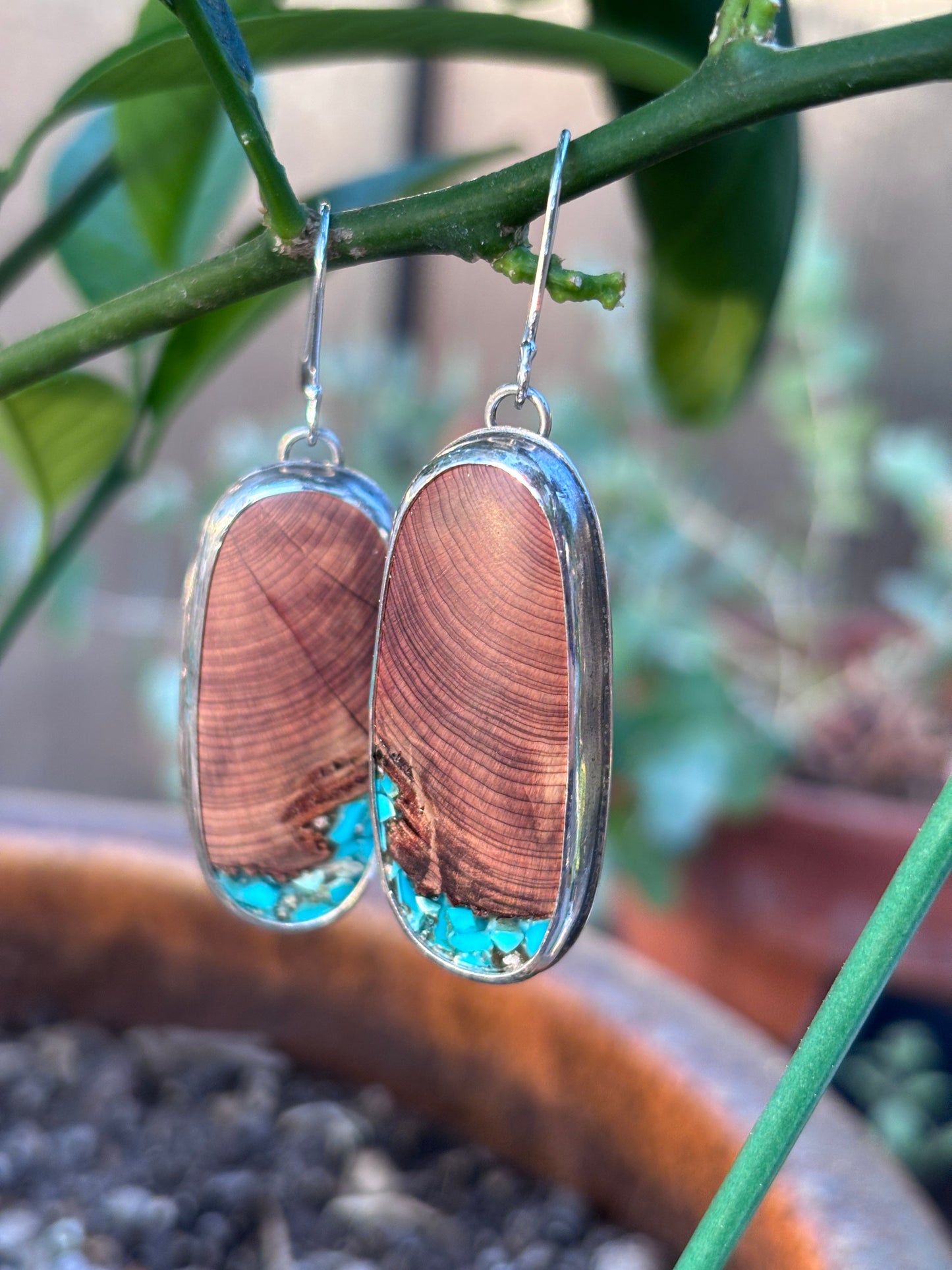 Juniper Drops #2