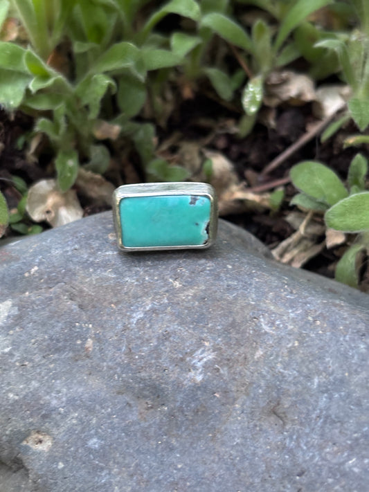 Campitos Turquoise Ring - Size 7.5