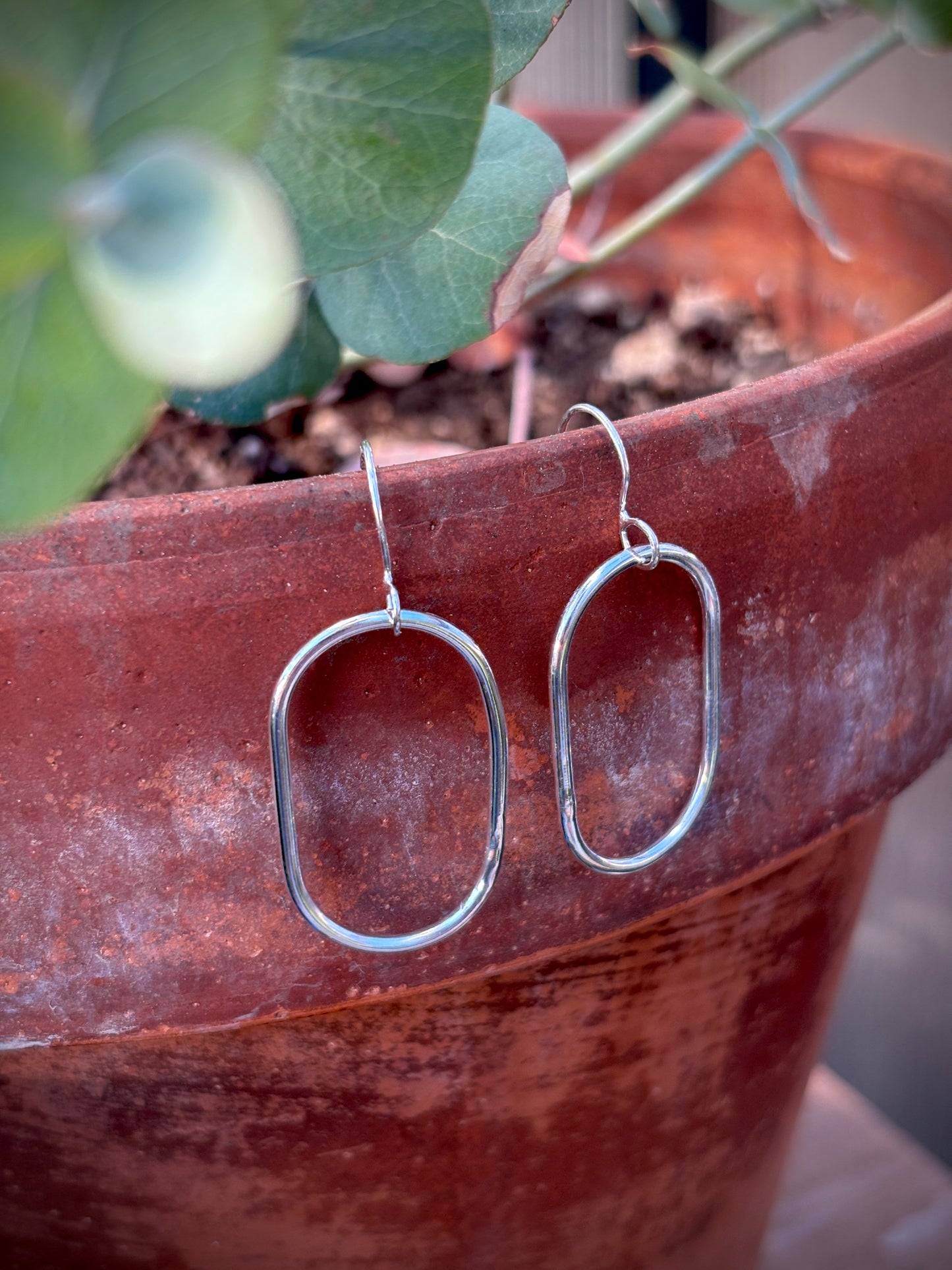 Oval Hoops