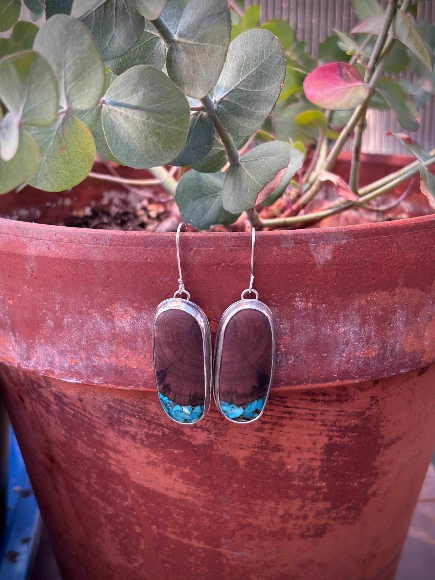 Juniper Drops #1