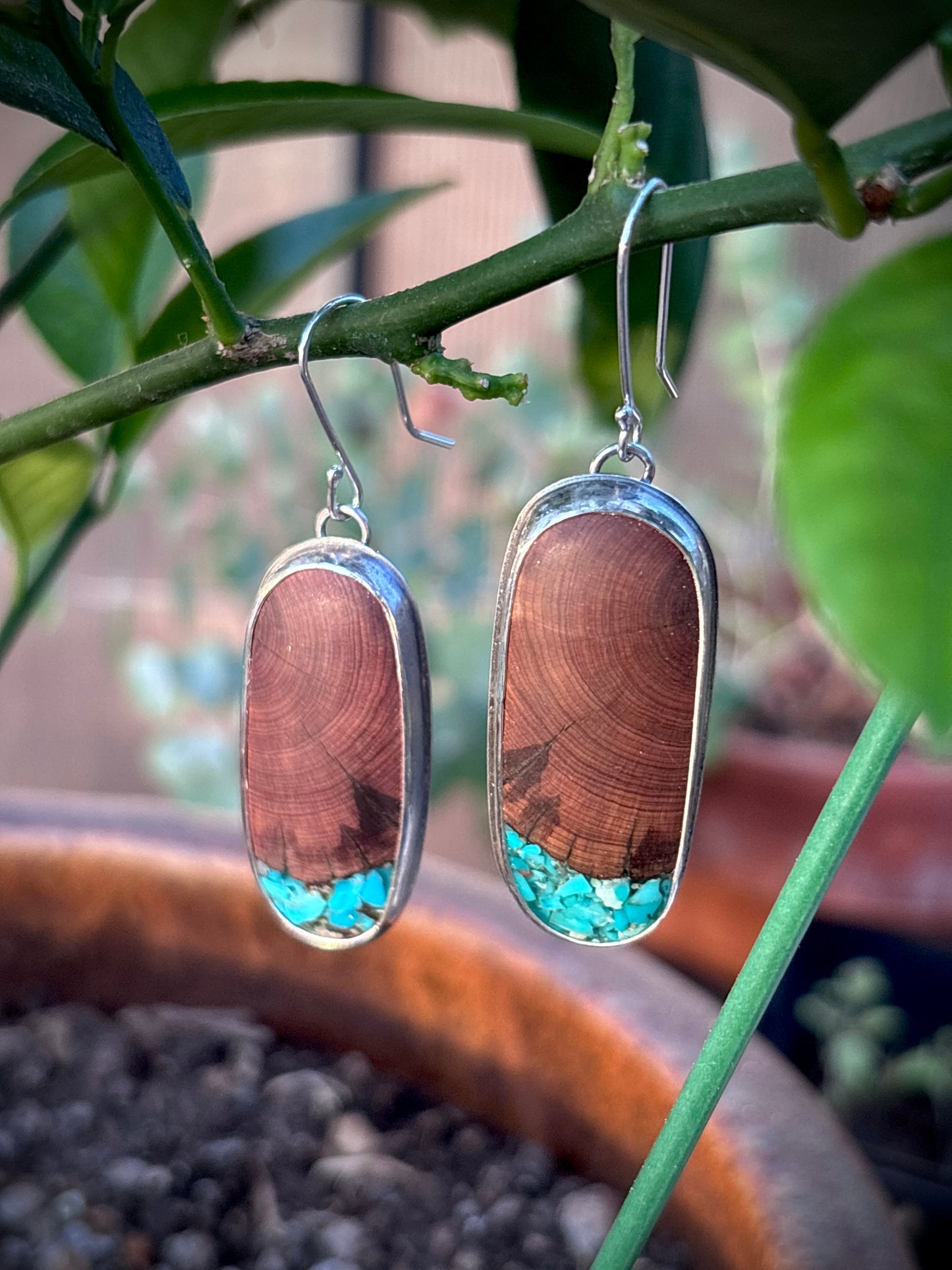Juniper Drops #1