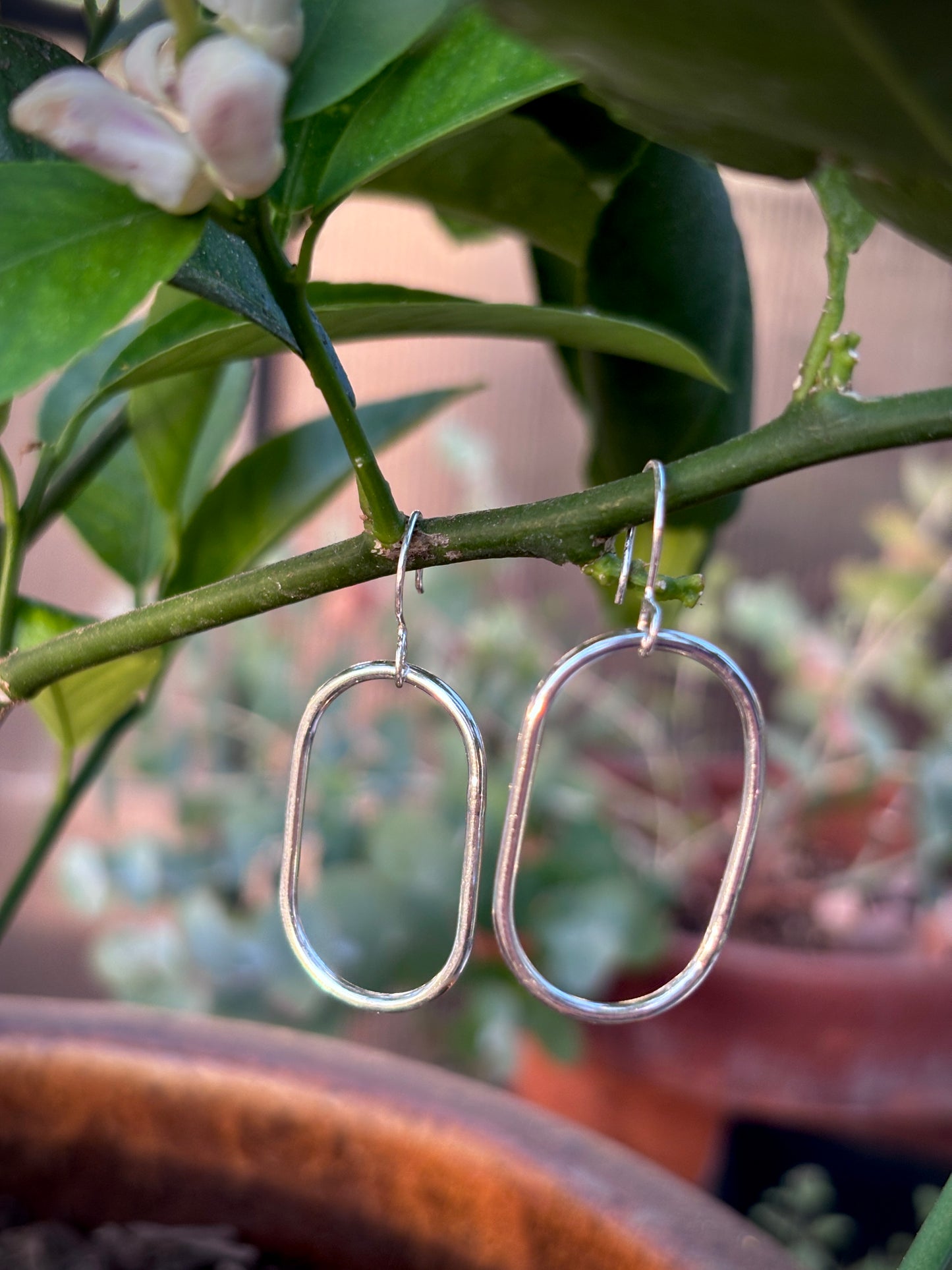 Oval Hoops