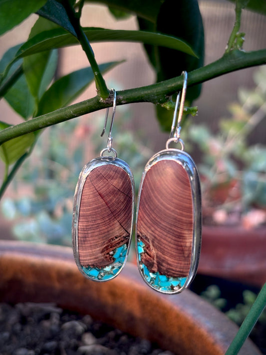 Juniper Drops #2