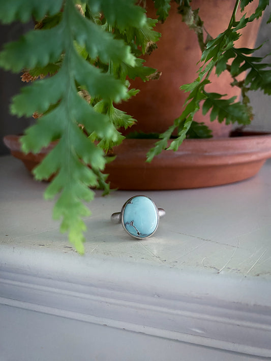 Poseidon Variscite Ring - Size 8